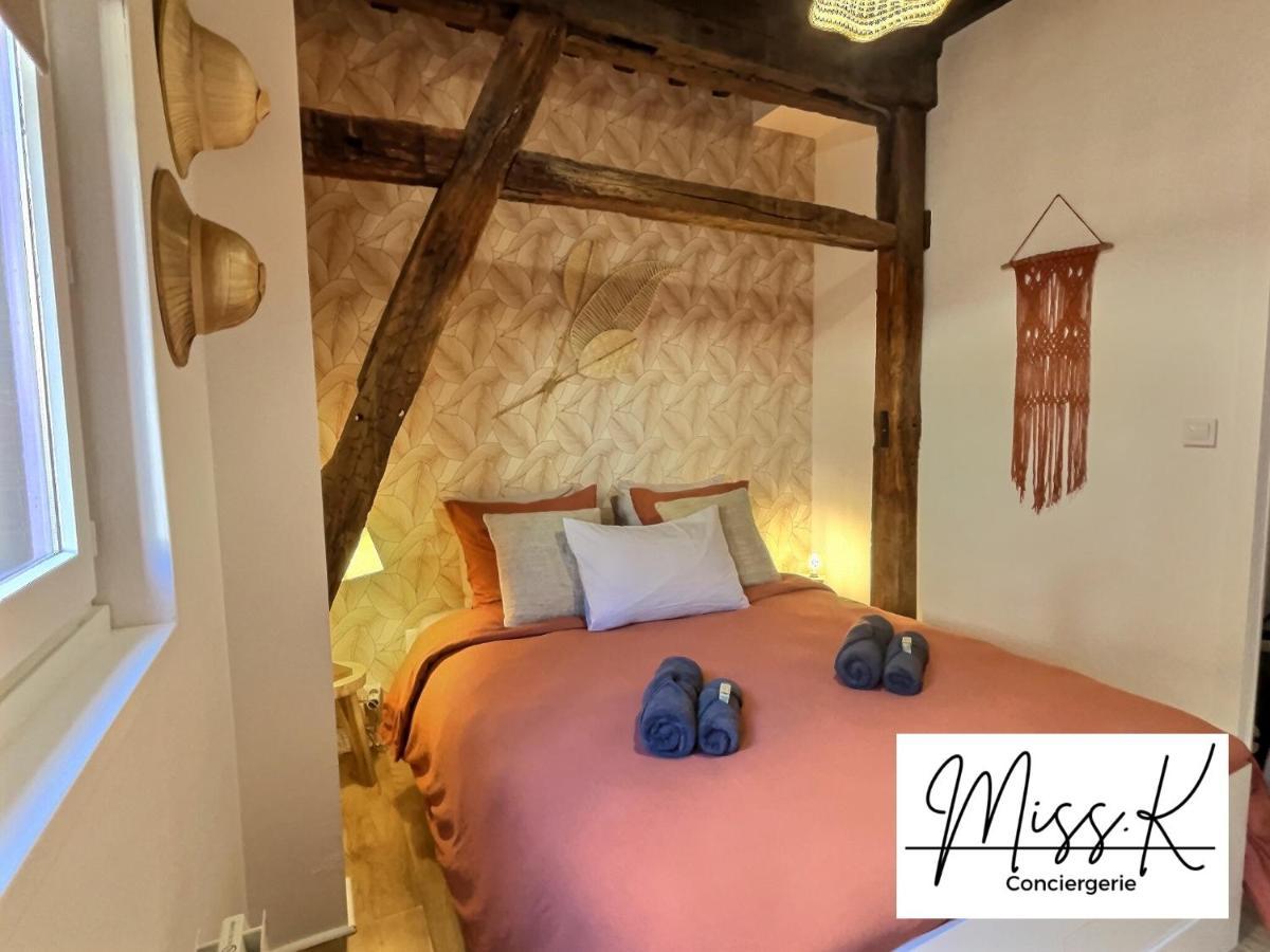 "La Fenetre Sur Le Marche" De Miss.K Conciergerie Apartment ชาตีลง-ซูร์-ชาลาโรนน์ ภายนอก รูปภาพ