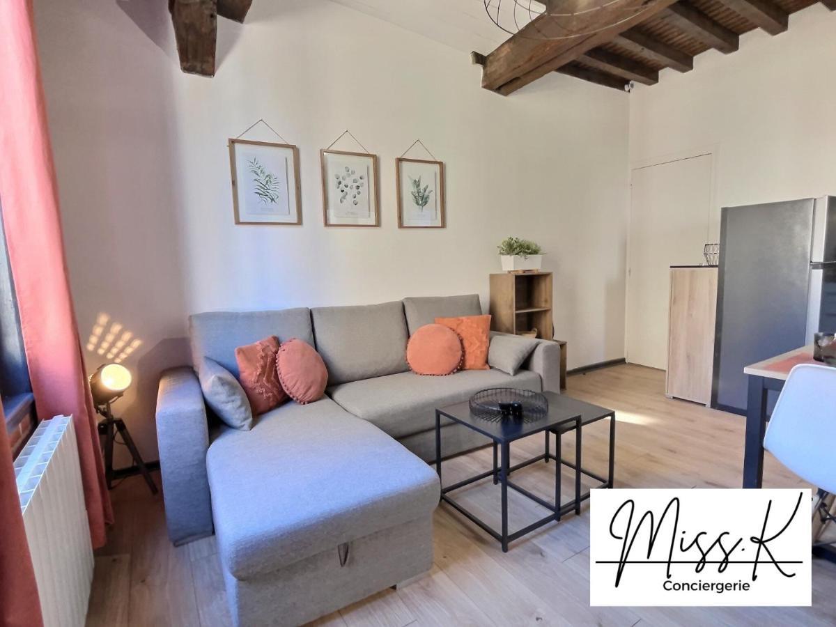 "La Fenetre Sur Le Marche" De Miss.K Conciergerie Apartment ชาตีลง-ซูร์-ชาลาโรนน์ ภายนอก รูปภาพ